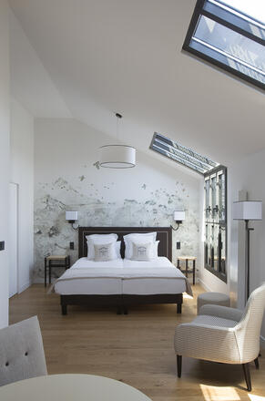 Studio Deluxe - Hôtel Collège des Doctrinaires