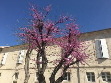 Extérieur Doctrinaires