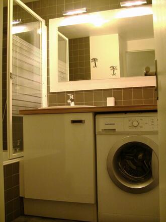 LES ECRINS  SALLE DE BAIN