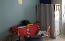 salon salon