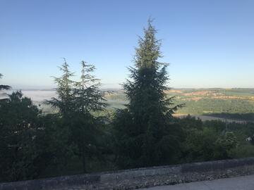 vue