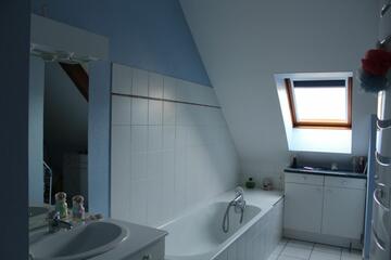 T2 rue Desire Monnier - Salle de bain