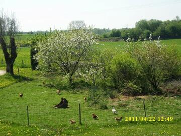 Gîte de la Lozière - Jardin