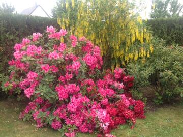 Meublés Hoeffler - Jardin