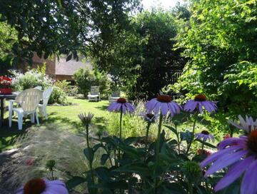 Jardin