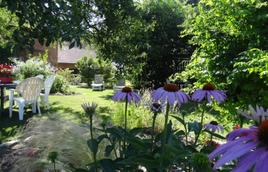 Jardin Jardin