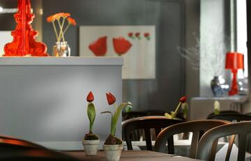 Hôtel Themal Salle a manger