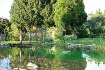 Gîte la Jument Verte - Piscine naturelle