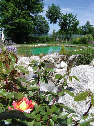 Gîtes la Jument Verte  - Gîte les vaches - Vue de la piscine en extérieur