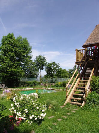 Gîtes la Jument Verte -  Jardin et piscine