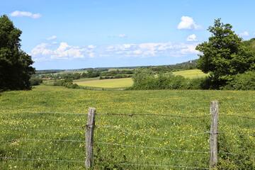 Verdure de Lons-le-Saunier